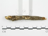 登錄號:F0001407藏品圖，第6張