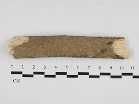 登錄號:F0001408藏品圖，第1張