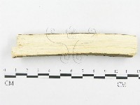 登錄號:F0001408藏品圖，第4張
