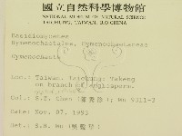 刺革菌屬藏品圖，第2張