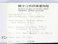 登錄號:F0001411藏品圖，第2張