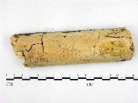 登錄號:F0001411藏品圖，第1張