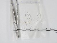登錄號:F0001412藏品圖，第1張