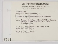 登錄號:F0001413藏品圖，第2張