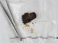 登錄號:F0001413藏品圖，第1張