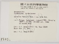 登錄號:F0001414藏品圖，第2張