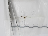 登錄號:F0001414藏品圖，第1張