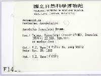 登錄號:F0001416藏品圖，第2張