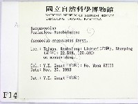 登錄號:F0001417藏品圖，第2張