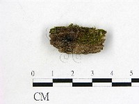 登錄號:F0001419藏品圖，第1張