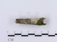 登錄號:F0001419藏品圖，第4張