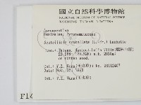 登錄號:F0001420藏品圖，第2張