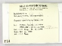 登錄號:F0001421藏品圖，第2張
