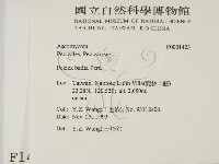 登錄號:F0001423藏品圖，第2張