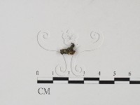 登錄號:F0001423藏品圖，第1張