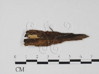 登錄號:F0001425藏品圖，第1張
