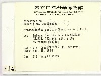 登錄號:F0001426藏品圖，第2張