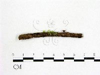 登錄號:F0001426藏品圖，第3張