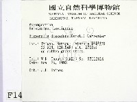 登錄號:F0001427藏品圖，第2張