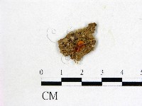 登錄號:F0001427藏品圖，第1張