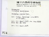 登錄號:F0001428藏品圖，第2張