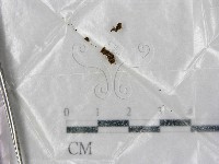 登錄號:F0001428藏品圖，第1張