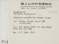 登錄號:F0001429藏品圖，第2張