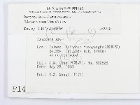 登錄號:F0001430藏品圖，第2張