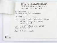登錄號:F0001430藏品圖，第3張