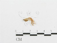 登錄號:F0001430藏品圖，第1張