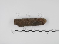 登錄號:F0001431藏品圖，第1張