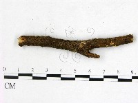 登錄號:F0001432藏品圖，第1張
