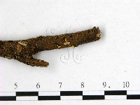 登錄號:F0001432藏品圖，第3張