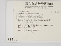 登錄號:F0001433藏品圖，第2張