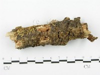 登錄號:F0001434藏品圖，第1張