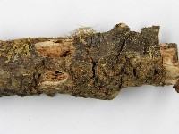 登錄號:F0001434藏品圖，第3張