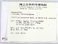 登錄號:F0001435藏品圖，第2張