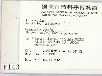 登錄號:F0001437藏品圖，第2張