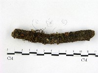 登錄號:F0001437藏品圖，第1張