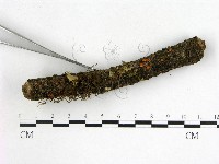 登錄號:F0001437藏品圖，第3張
