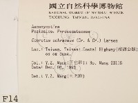 登錄號:F0001439藏品圖，第2張