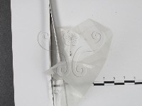 登錄號:F0001440藏品圖，第1張