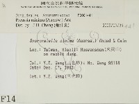 登錄號:F0001441藏品圖，第2張