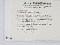 登錄號:F0001442藏品圖，第2張