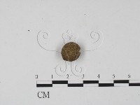 登錄號:F0001442藏品圖，第1張