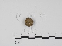 登錄號:F0001442藏品圖，第3張