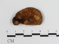 登錄號:F0001444藏品圖，第3張