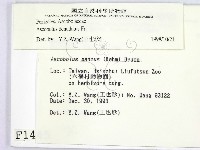 登錄號:F0001445藏品圖，第2張