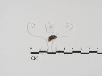登錄號:F0001447藏品圖，第4張