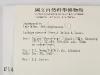 登錄號:F0001449藏品圖，第2張